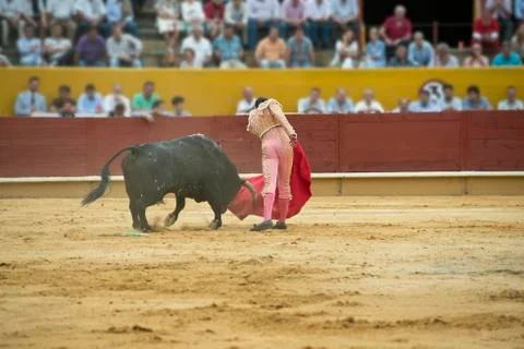 Bullfighting. Stock Photos