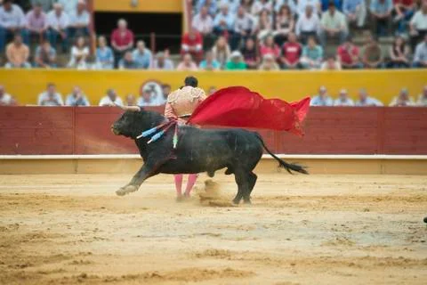 Bullfighting. Stock Photos