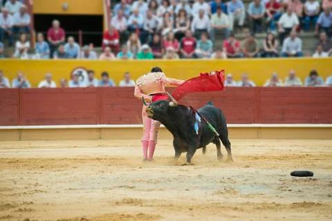 Bullfighting. Stock Photos