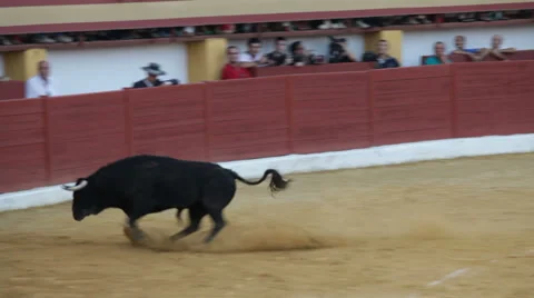Bullfighting in Spain 库存影片 28840801