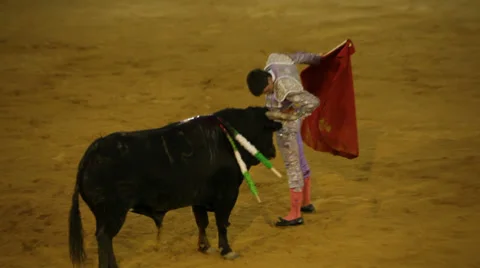 Bullfighting in Spain 库存影片 30362384