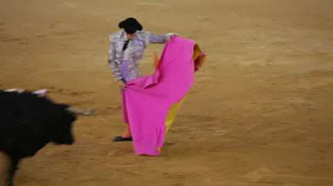 Bullfighting in Spain Vidéo 30989618