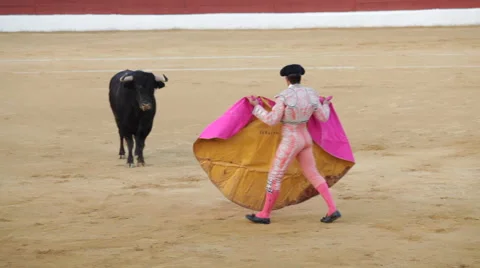 Bullfighting in Spain 库存影片 45268505