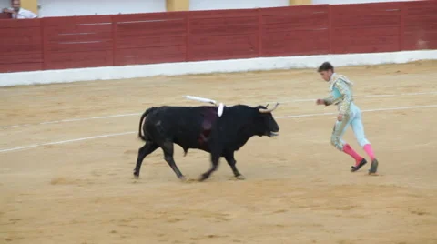 Bullfighting in Spain 動画素材 45275155