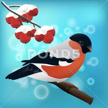 Bullfinch and rowan branch on a sparkling background Stock Illustration