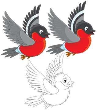 Bullfinch Stock Illustration