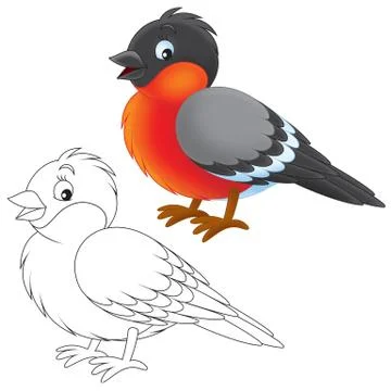 Bullfinch Stock Illustration