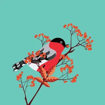 Bullfinch on rowan Ilustración de archivo