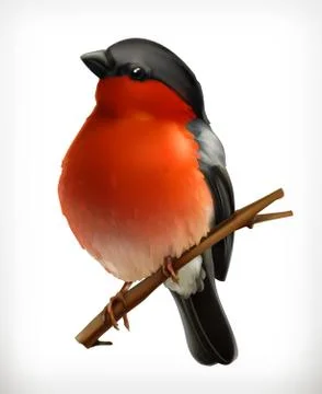 Bullfinch, vector icon Stock Illustration