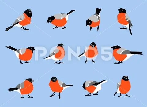 Bullfinches isolated on white background. Stock Illustration