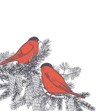 Bullfinches. Vector background. Stock Illustration