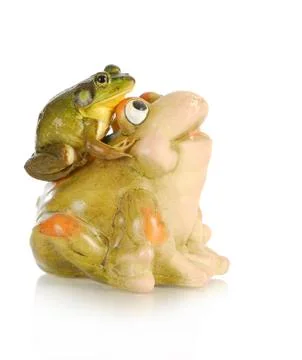 Bullfrog Stock Photos