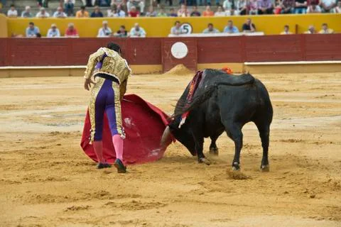 Bulllfighter in action. Foto stock