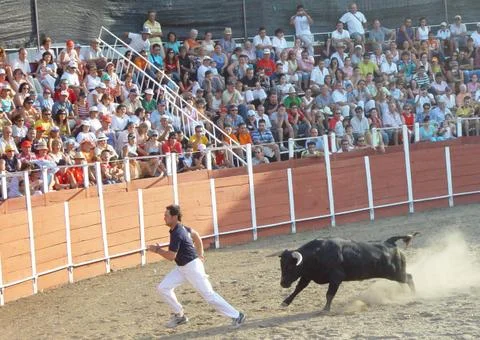Bullring Stock Photos