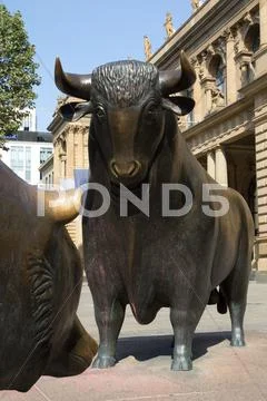 Bulls and bears Stock Photos