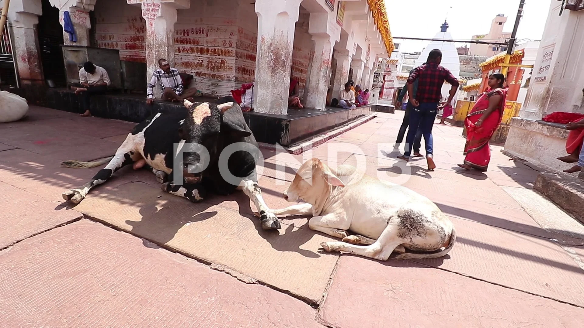 Jharkhand News Network: Baidyanathdham Temple, Deoghar, Jharkhand