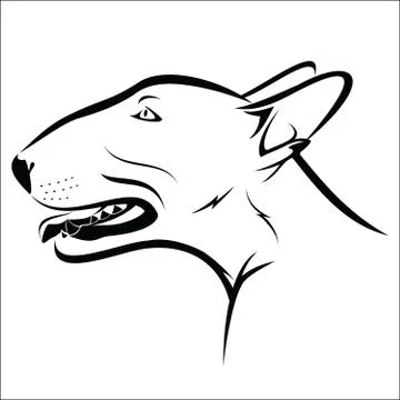 Bullterier Stock Illustration