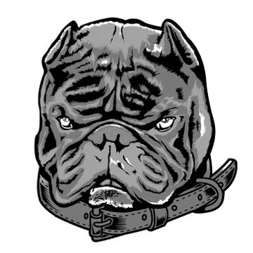 Bully Dog Exotic Stock Illustration