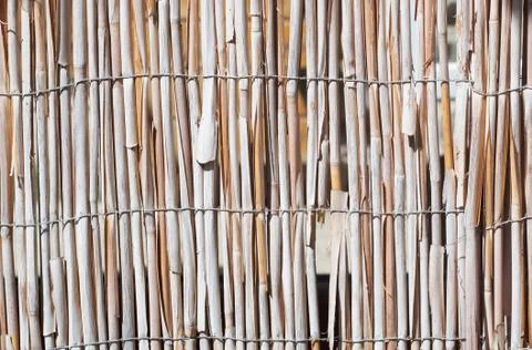 Bulrush wall Stock Photos