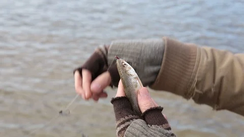 A bum caught a small fish by the bait, but it unexpectedly slips Stock Footage 97821789