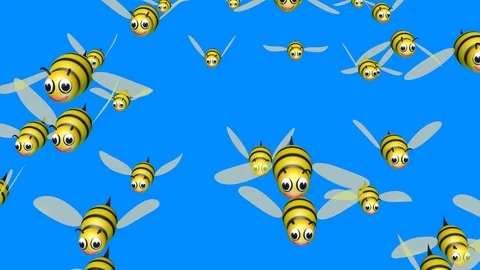 Bumble bee swam. Front view. Solid blue background Stock Footage 88338951