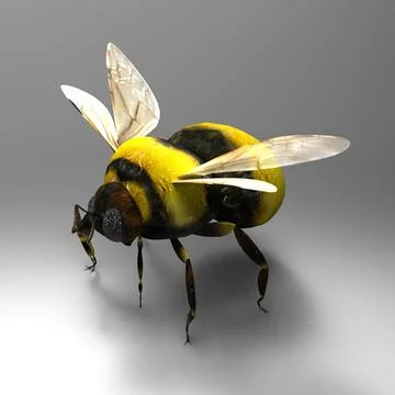 Bumblebee 3D Model