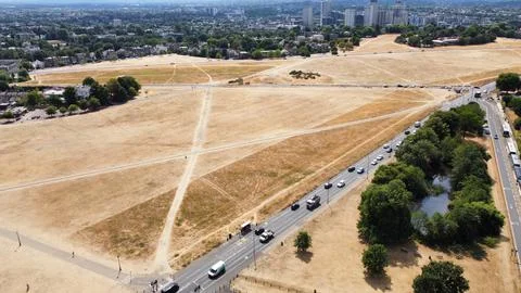 Bumblebee cleaning Foto stock
