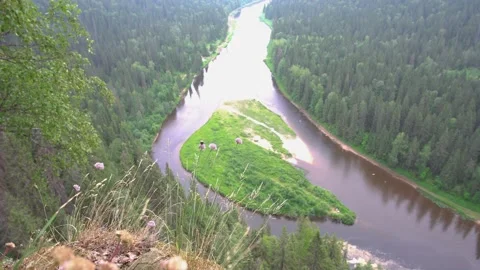 Bumblebee on the clover. Landscape view to north river Usva from Ural mountain  動画素材 164383570