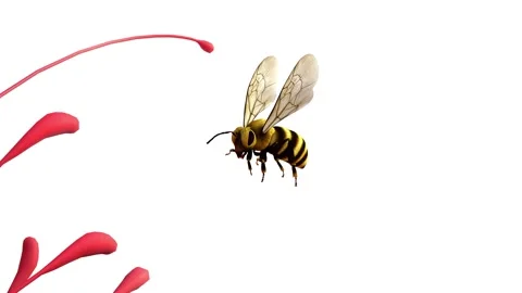 Bumblebee come to the flowers Stock Footage 314512170