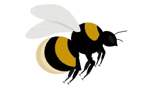 Bumblebee in flight on a white background Stock Illustration