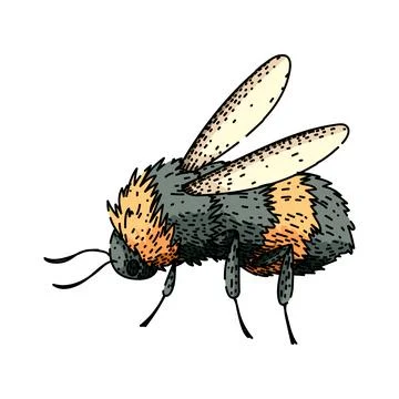 Bumblebee insect flying delivering important pollination service Stock Illustration