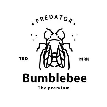 Bumblebee logo vector outline monoline art icon Stock Illustration
