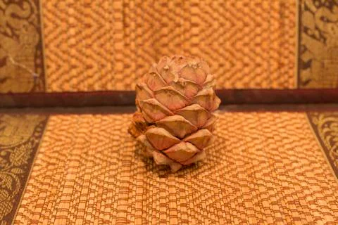 Bump from the cedar on a straw background. 스톡 사진