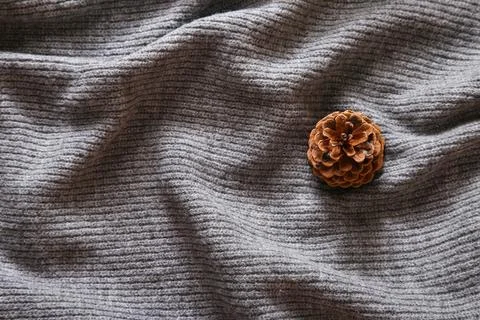 Bump on a gray background with space for text. Top view Stock Photos