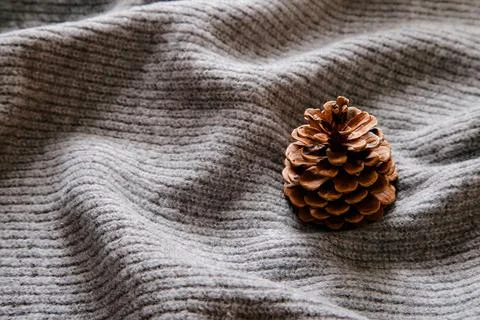 Bump on a gray background with space for text Stock Photos