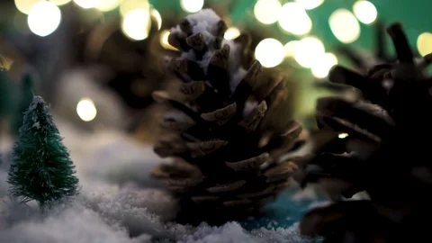 Bump in the snow among the trees Stock Footage 99827362