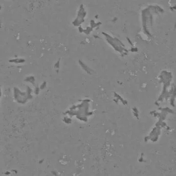 Bump texture concrete, texture mapping Foto stock