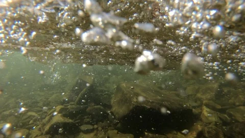 Bumper View of a Mountain Stream River Crossing Stock Footage 260098933