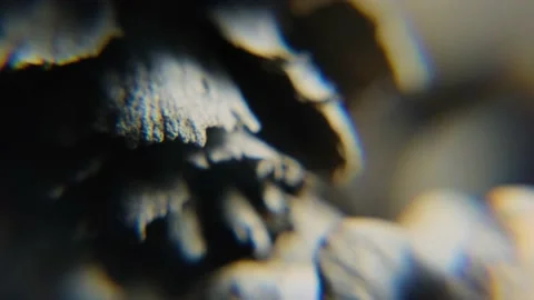 Bumps in macro 스톡 동영상 180563919