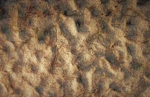 Bumpy beach sand textured background Stock Photos