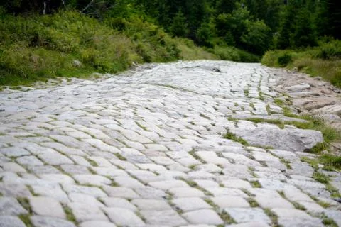 Bumpy cobblestone road. Shallow depth of field Stock Photos