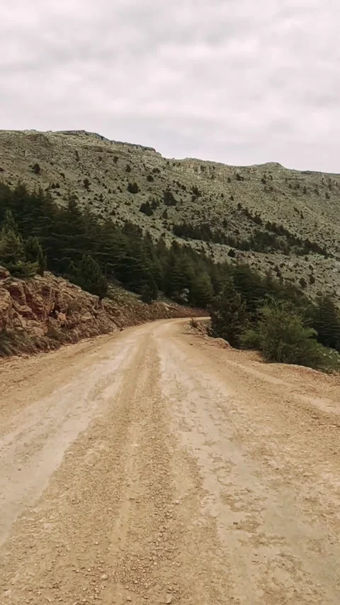 A bumpy dirt road winds through a forested landscape, framed by majestic Video stock 276856088