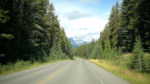 Bumpy drive on road with forest and mountains in Banff National Park Video stock 327698006