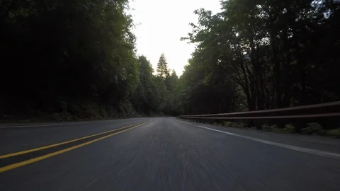 Bumpy Drive Through Tree Lined Road Video stock 115053759