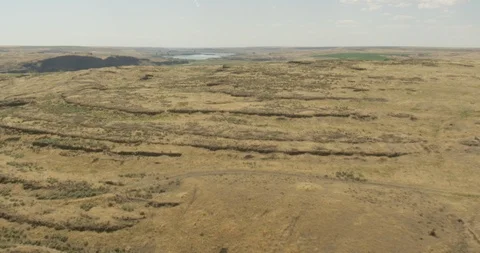 Bumpy dry yellow topogaphy, helicopter aerial, drone Stock Footage 115336544