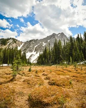 Bumpy Meadows Mount Aeneas British Columbia Stock Photos