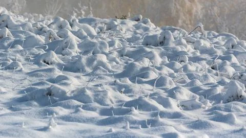 Bumpy snow cover over field close up Stock Photos