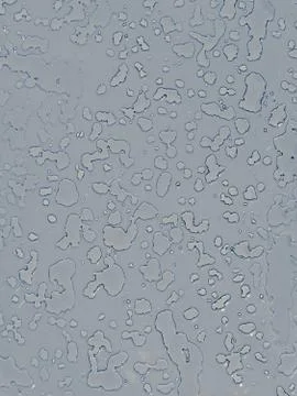Bumpy texture 写真素材