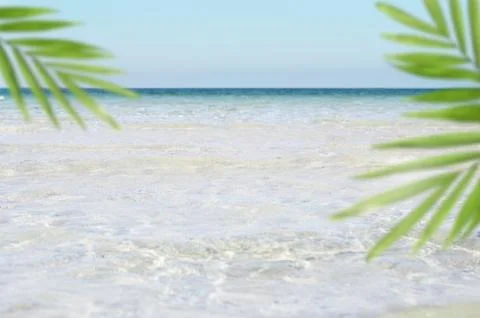 Bumpy tropical sandy beach with summer tree, blurry transparent ocean and blue Stock Photos