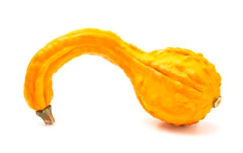 A Bumpy Yellow Gourd on a White Background Stock Photos